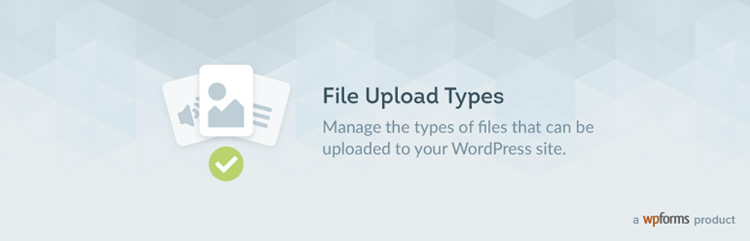 افزونه File Upload Types