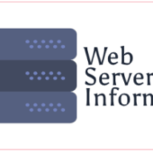 دریافت اطلاعات فنی هاست یا سرور وردپرس با افزونه Web Server Information